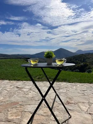 a table with two bowls and a plant on it at Zemunice Knezevic in Banja Luka