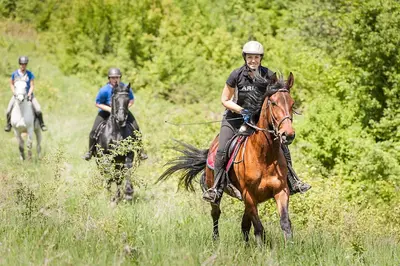 two people are riding horses in a field at Zemunice Knezevic in Banja Luka