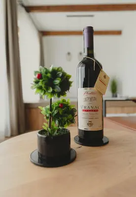 a bottle of wine and a potted plant on a table at Zemunice Knezevic in Banja Luka