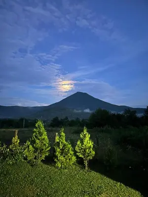 a view of a mountain with trees in a field at B&B Hills Bihać in Bihać