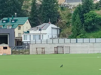a dog walking on a field in front of a building at Mountain Apartment Vlašić Babanovac in Vlasic