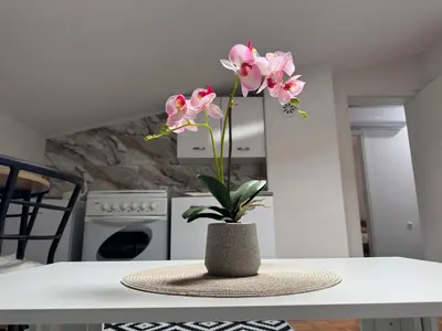 a vase with pink flowers sitting on a table at Apartment Star in Jajce