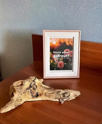 a picture of a tree stump sitting on a table at Deutsches Haus Livno in Livno