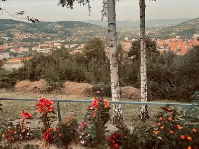 a view of a city from a hill with flowers at Vikendica VIDIKOVAC na Piramidi Sunca in Visoko
