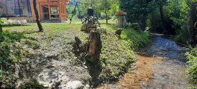 a tree stump in the middle of a creek at Eko kuca Jandro in Šipovo