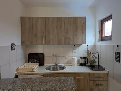 a kitchen with a sink and a counter top at Wisteria Lodge in Derventa