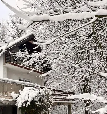 a house with snow covered trees and a roof at ALBAK Green Zone in Gradačac