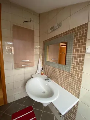 a bathroom with a white sink and a mirror at Apartman GOGO in Livno