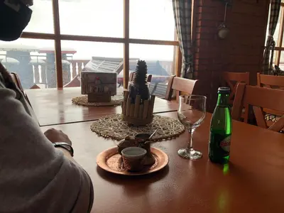 a table with a cactus and a bottle of wine at Pansion Vlašić Ski in Šišava
