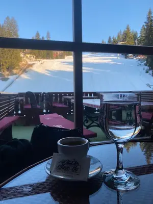 a table with a cup of coffee and a wine glass at Pansion Vlašić Ski in Šišava