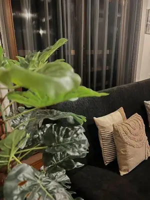 a living room with a couch with pillows and plants at Cozy Cottage Vlašić in Vlasic
