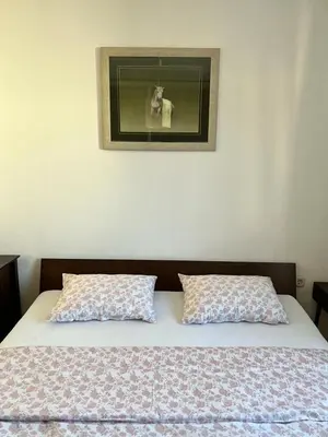 a bed with two pillows and a picture on the wall at Apartment Sunny day in Livno