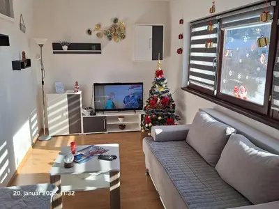 a living room with a christmas tree and a television at Stan na dan Grahovo in Bosansko Grahovo