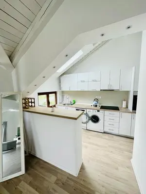 a large kitchen with white cabinets and a counter at Vila Milincic Milincic Nest in Banja Luka
