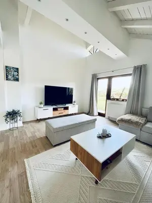 a living room with a couch and a coffee table at Vila Milincic Milincic Nest in Banja Luka