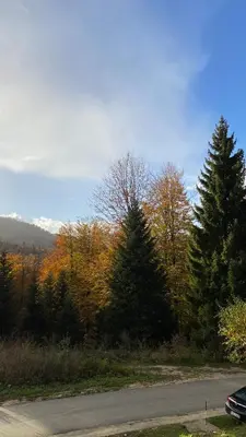 a car parked on the side of a road with trees at Alpi Cabin Pridolci in Busovača