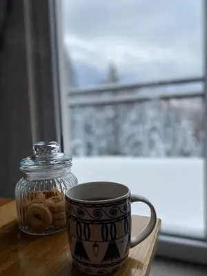 a cup of coffee and a glass jar of cookies at Alpi Cabin Pridolci in Busovača