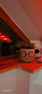 a plant in a pot with glasses on a shelf at Vikendica 