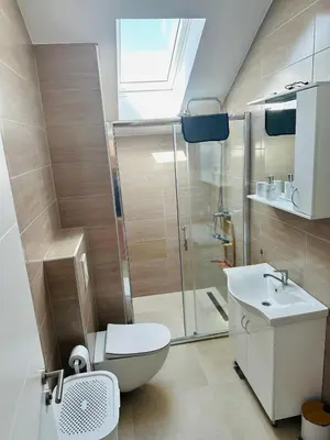 a bathroom with a shower and a toilet and a sink at Vila Milincic Loft Milincic in Banja Luka