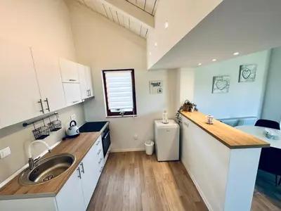 a large kitchen with a sink and a sink at Vila Milincic Loft Milincic in Banja Luka