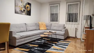 a living room with a gray couch and a rug at Apartmani Elix in Banja Luka