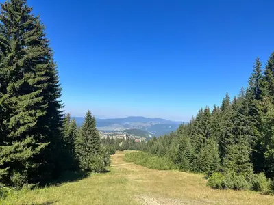 a road in the middle of a forest at Apartman Vlašić Hary in Vlasic
