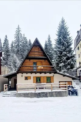 a log house in the snow with trees at Holiday home Bella Vlašić in Šišava