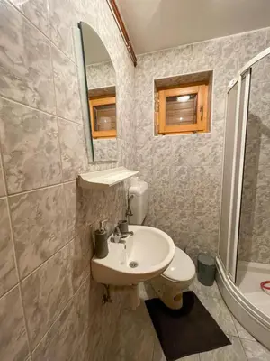 a bathroom with a sink and a toilet and a mirror at Holiday home Bella Vlašić in Šišava