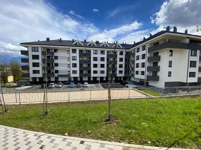 two trees in the grass in front of a building at Zeus apartman in Hiseti