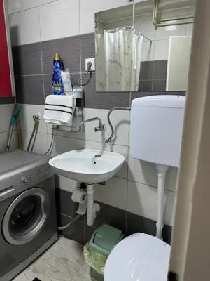 a bathroom with a sink and a washing machine at Stan na dan Hasanovic in Tuzla