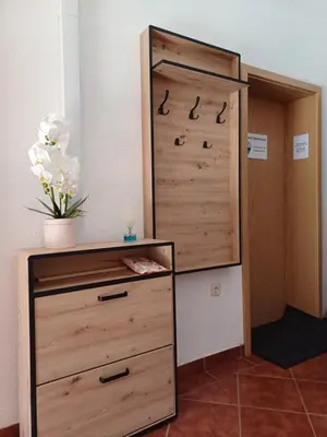 a closet with a dresser and a cabinet with a plant at Restart Apartment in Visoko