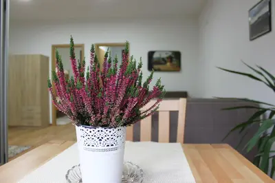 a white vase filled with pink flowers on a table at Restart Apartment in Visoko