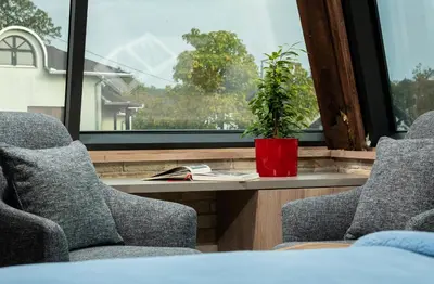 a potted plant sitting on a table in front of a window at LANTerna Boutique Hotel in Srbac