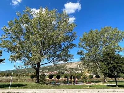 two trees in a park with a hill in the background at Apartman Greta in Livno