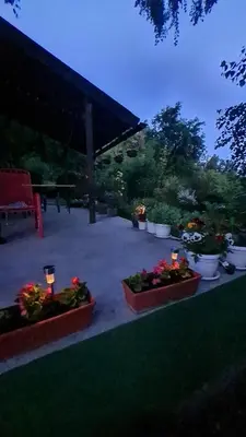 a group of flowers in pots on a patio at Vikendica Alisa in Doboj