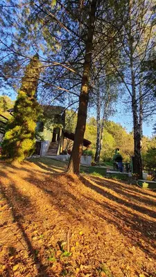 a house with a tree in the middle of a yard at Vikendica Alisa in Doboj