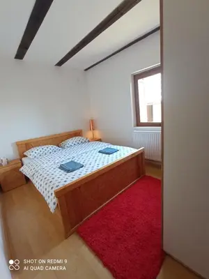 a bedroom with a bed and a red rug at Druga priča in Vlasic