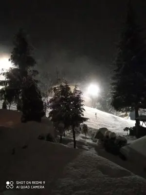 a snowy slope at night with trees and a light at Druga priča in Vlasic