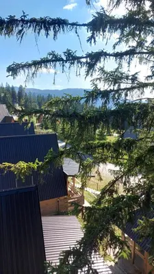 a view of the roofs of houses and trees at Apartment XYZ Vlašić in Vlasic
