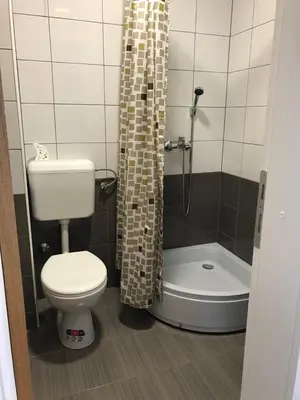 a bathroom with a toilet and a shower at Apartment Mejdan in Tuzla