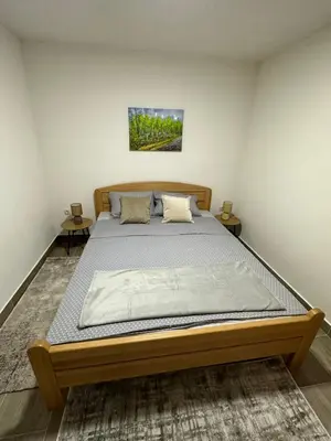 a bedroom with a large bed in a room at Villa Dejana Vlašić in Šišava