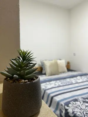 a potted plant sitting on a table next to a bed at Villa Dejana Vlašić in Šišava