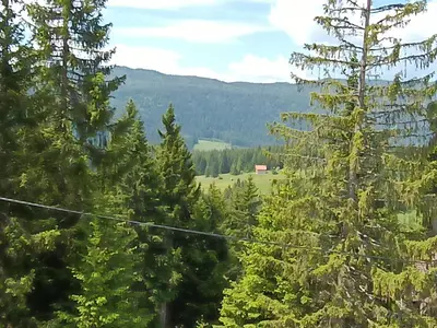 a view of a forest with trees and mountains at Vlašić, Babanovac, vikendica Ante in Vlasic