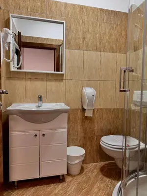 a bathroom with a sink and a toilet and a mirror at Hotel Paviljon in Bihać