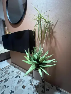 a potted plant sitting on a floor next to a mirror at Banja Luka CITY2 in Banja Luka