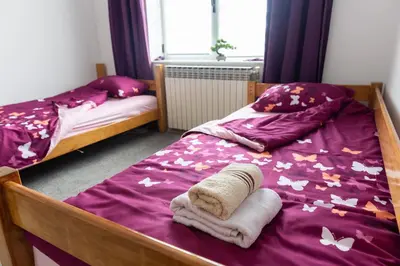 a bedroom with two twin beds with purple sheets and butterflies at Guest House Lejla in Travnik