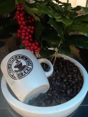 a cup of coffee next to a potted plant at Evergreen in Banja Luka