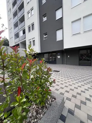 a plant in front of a building at Romanijska in Banja Luka