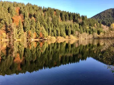 a lake in the middle of a forest at Visoravan 1200 in Kupres