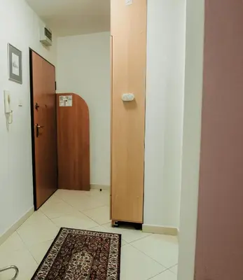 a hallway with a door and a rug on the floor at Divan Apartman u Banjaluci in Banja Luka